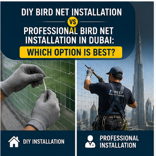 DIY Bird Net Installation vs Professional Bird Net Installation